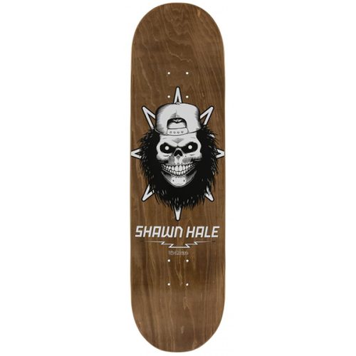 Birdhouse skateboard 8.5 Hale Skull deck