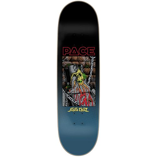 Santa Cruz Rob Pace Dungeon Skateboard Deck